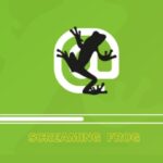 ¿Cómo configurar Screaming Frog de forma eficiente?