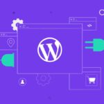 plugin SEO WordPress​